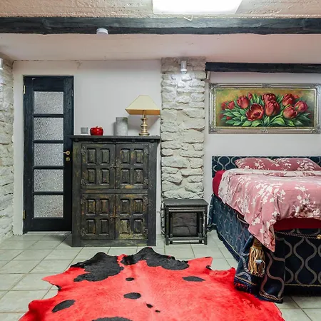 Videviku Appartement Tallinn