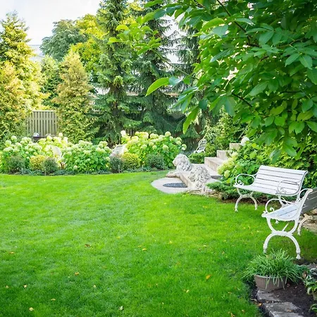 Daire Videviku Tallinn