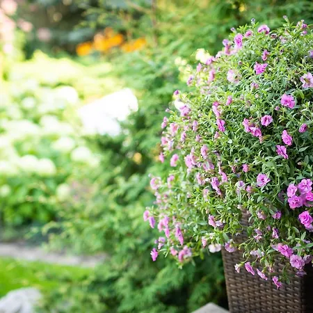 Videviku Apartamento