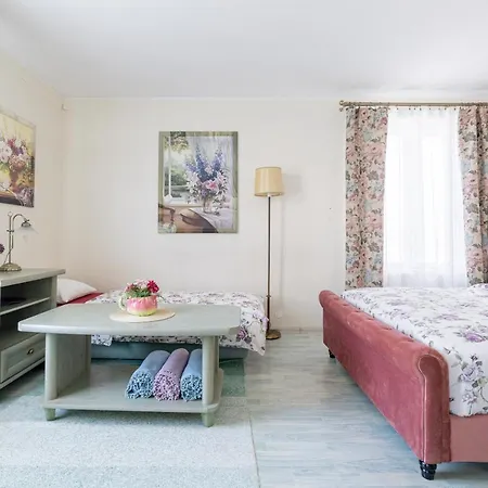Apartment Videviku