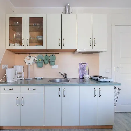 Videviku Apartment Tallinn