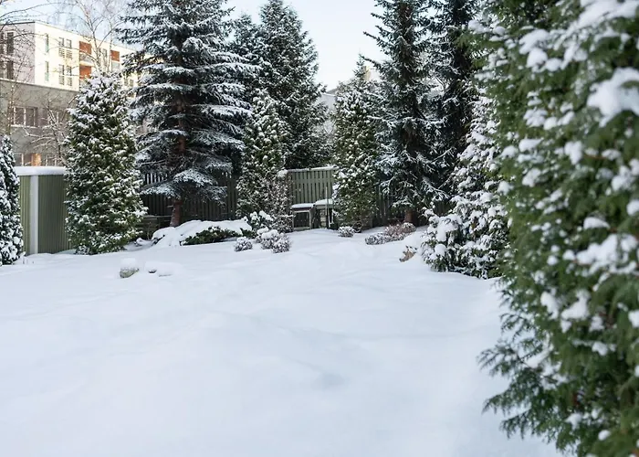 Videviku Apartament *